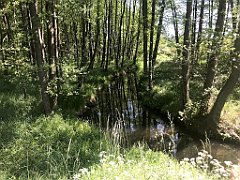 113_iP_230608_IMG_6841