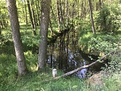 114_iP_230608_IMG_6842