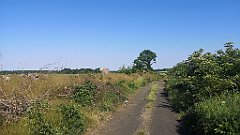 229_p20_IMG_20230608_164422