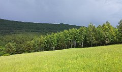 066_p20_IMG_20230618_145137