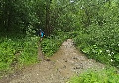 083_p20_IMG_20230618_151027