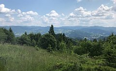 085_ip_230619_IMG_6892