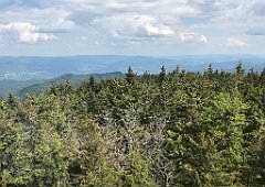 228_ip_230619_IMG_6906