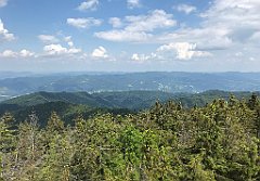 237_ip_230619_IMG_6915