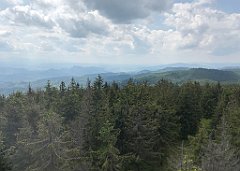 245_ip_230619_IMG_6925