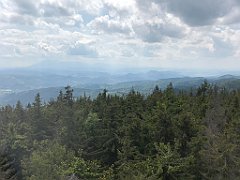 255_ip_230619_IMG_6932