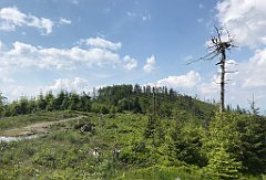 298_ip_230619_IMG_6940