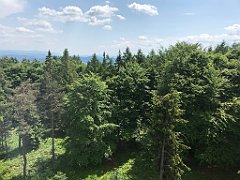 101_ip_230620_IMG_6962