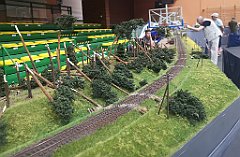 062_p20_IMG_20230708_130225