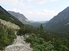 362_p20_IMG_20230822_164435