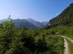 020_p20_IMG_20250616_082129