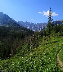 033_p20_IMG_20250616_090835