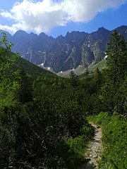 049_p20_IMG_20250616_101711