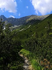 054_p20_IMG_20250616_102249