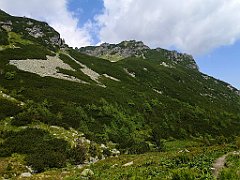 061_p20_IMG_20250616_103649