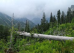 090_p20_IMG_20250616_130953