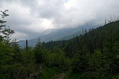 096_p20_IMG_20250616_134922