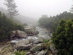 013_p20_IMG_20250617_103534