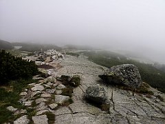 035_p20_IMG_20250617_114117