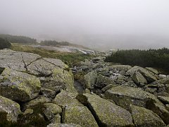 046_p20_IMG_20250617_120836