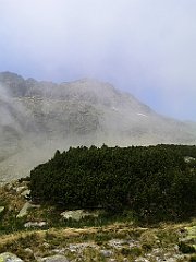 056_p20_IMG_20250617_121913