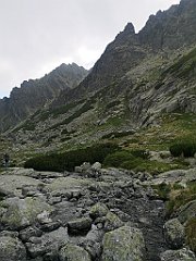 180_p20_IMG_20250617_155457