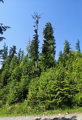 015_p20_IMG_20250618_100215