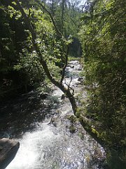 017_p20_IMG_20250618_102602