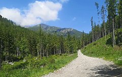 020_p20_IMG_20250618_103726