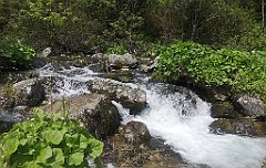 038_p20_IMG_20250618_122922