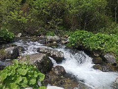 039_p20_IMG_20250618_122927