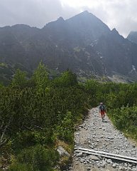 051_p20_IMG_20250618_124127