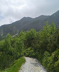 053_p20_IMG_20250618_124506