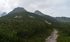 095_p20_IMG_20250618_143917