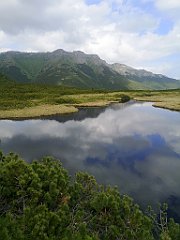 101_p20_IMG_20250618_144352