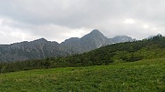 120_p20_IMG_20250618_153302