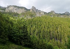 135_p20_IMG_20250618_171637