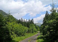 052_p20_IMG_20250619_110628