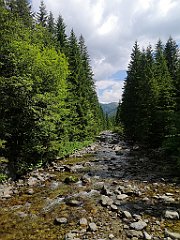 060_p20_IMG_20250619_111133