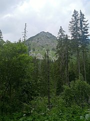 073_p20_IMG_20250619_122909