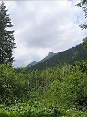 075_p20_IMG_20250619_123126