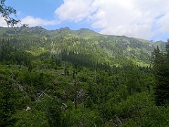 076_p20_IMG_20250619_123330