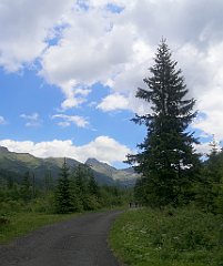 085_p20_IMG_20250619_124625