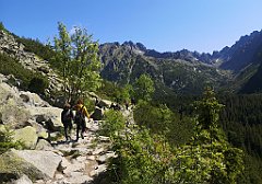 019_p20_IMG_20250620_094933