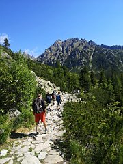 029_p20_IMG_20250620_095909