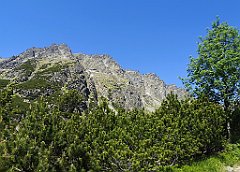 040_p20_IMG_20250620_104104