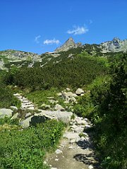 049_p20_IMG_20250620_105040