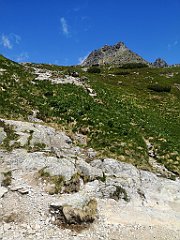 071_p20_IMG_20250620_115841