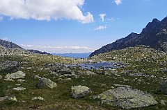 147_p20_IMG_20250620_140529