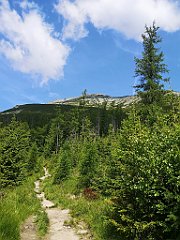 011_p20_IMG_20250621_100328